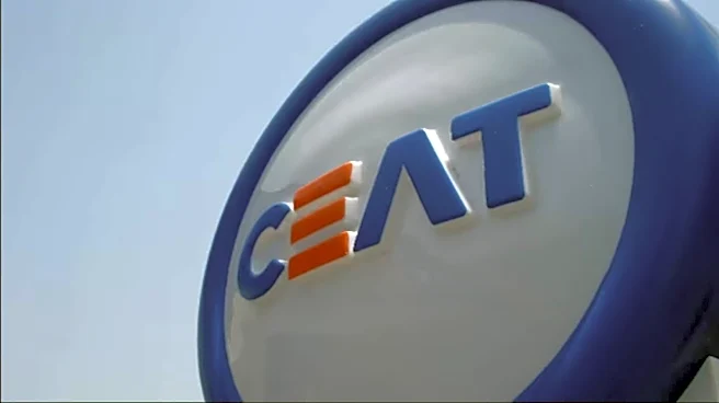 CEAT Q2 profit falls as costs bite, bets on H2 FY27 growth with more price hikes