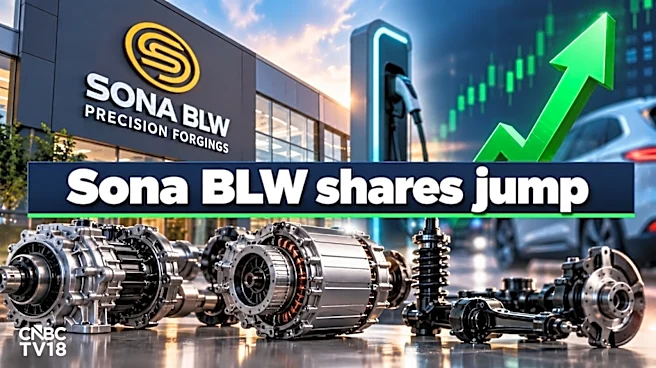 Sona BLW shares jump 10%, the most in two years after Q2 results; Analysts do not see major upside
