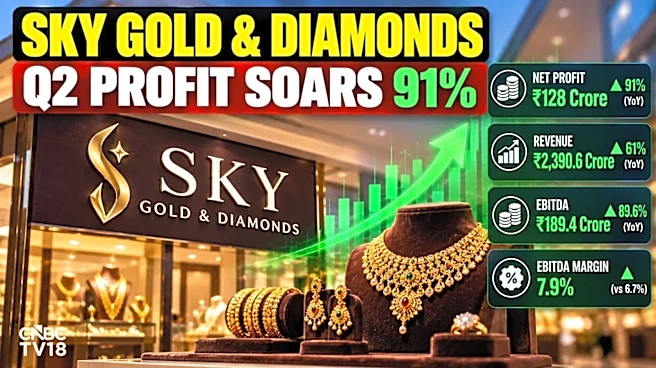 Sky Gold Q2 results: Stock jumps 5% after profit nearly doubles; Board approves ₹1,800 crore fund raise