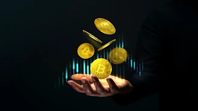 How visa referrals can earn travellers digital gold rewards