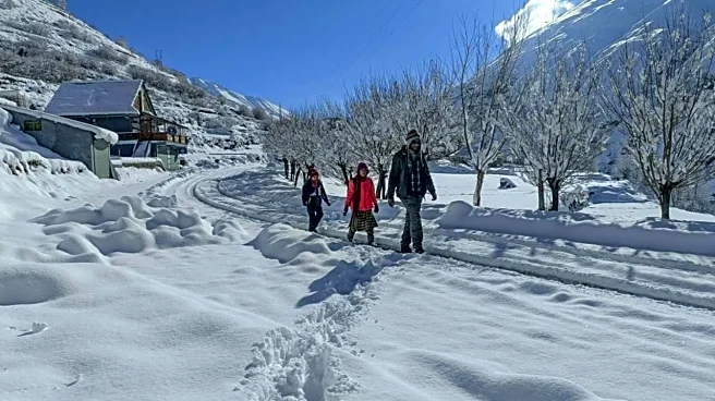 Fresh snowfall blankets Himachal, Kashmir as first snow leopard sighting reported in Kinnaur