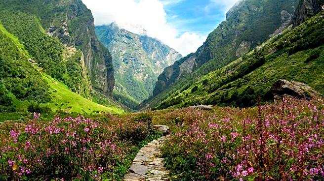 Nature, wildlife conservation integral part of Uttarakhand's culture, says CM Dhami