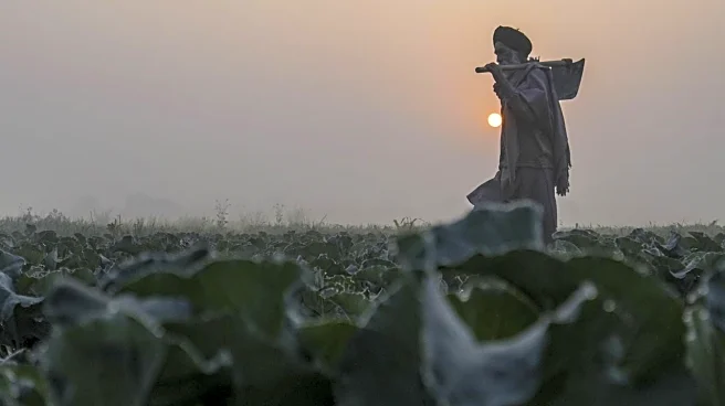 Weather update: Poor visibility causes 60 flight cancellations in Delhi, fog to persist in UP, MP