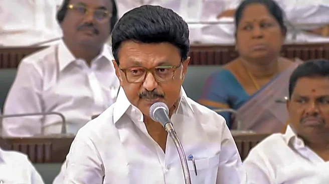 Tamil Nadu to host first Tamil Biennale in January; Stalin announces ₹100 crore Mamallapuram development push