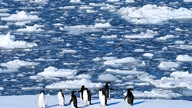 Antarctica's tourism boom raises concerns about contamination and disease