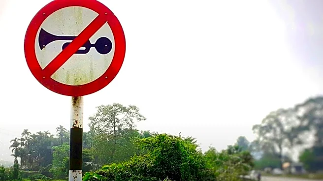Nainital’s Mall Road becomes no honking zone: Route, fine and other details
