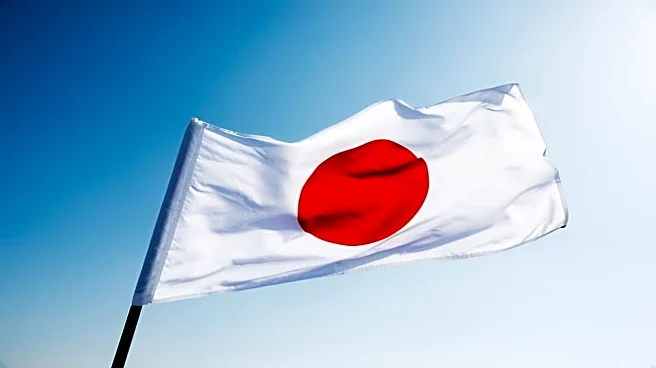 Japan's LDP and Ishin agree to form coalition government, says NHK