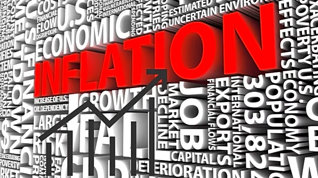 Inflation still a bigger worry than jobs, says Fed’s Austan Goolsbee