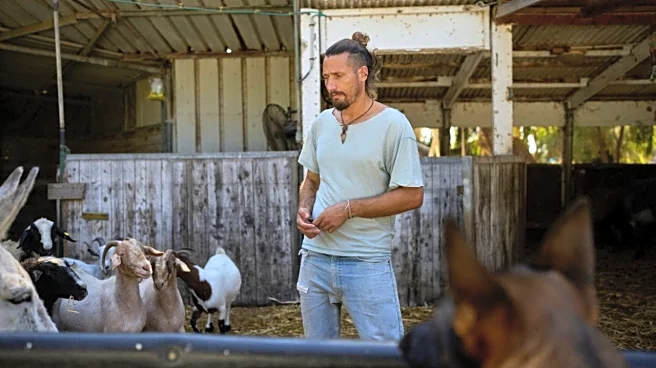 Suicides on rise as Israel's longest war leaves trail of traumatised soldiers