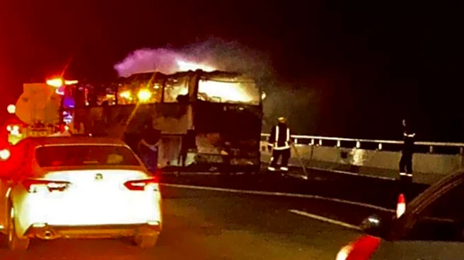 Medina bus tragedy: 18 members of Hyderabad family among 42 Indian pilgrims killed