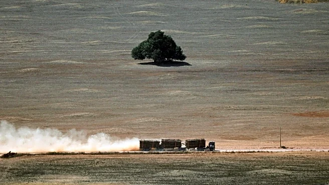 WWF, Greenpeace demand roadmap on deforestation at UN COP30