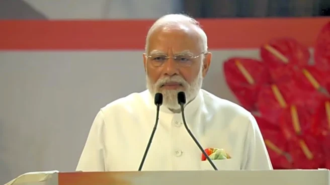 'Resilience can't be built in silos': PM Modi proposes critical minerals, satellite data initiatives at G20