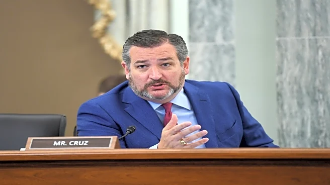 US senator Ted Cruz wants restrictions on military flights approved soon to prevent another midair collision