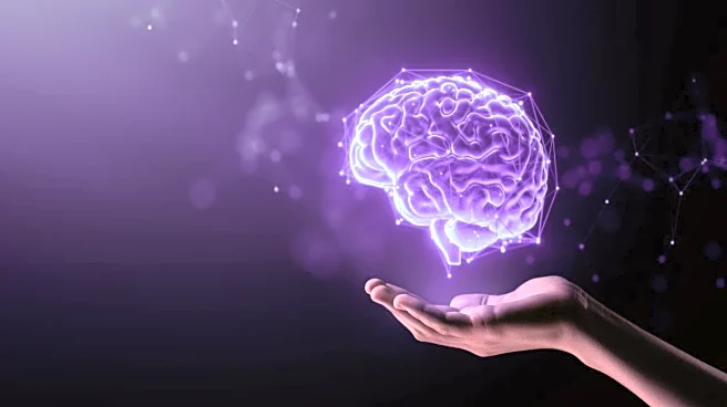 Study in mice shows brain mechanisms behind behaviour adaption