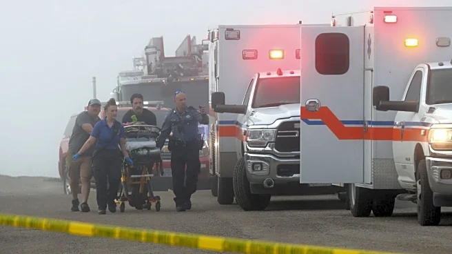 Mexican Navy plane on child medical mission crashes near Texas, five dead