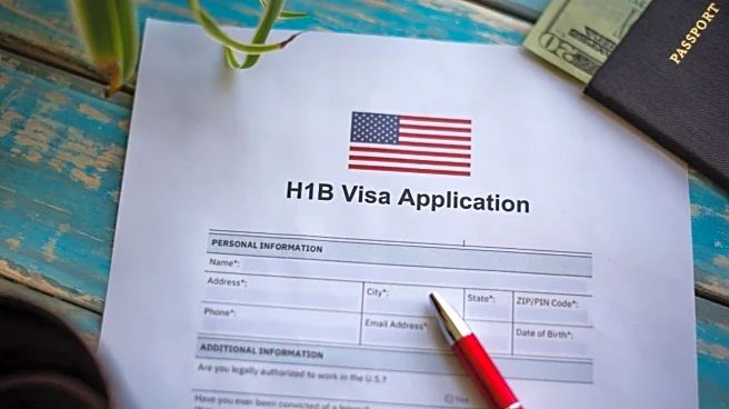 MEA flags H-1B visa delays with US, expects issues to be addressed