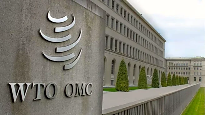 WTO impasse may lead to duties on digital downloads, streaming; impact big tech cos