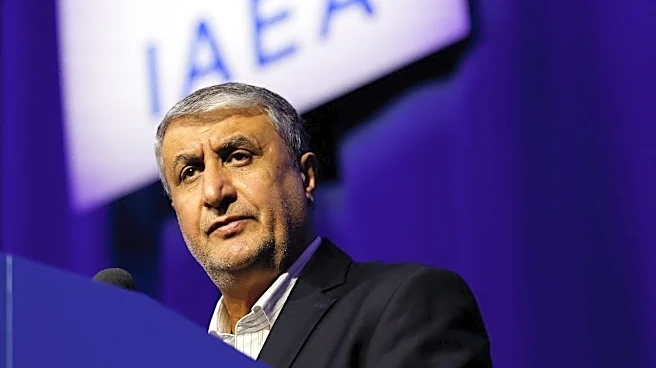 Iran accuses UN nuclear watchdog of inaction, warns of risk from attacks