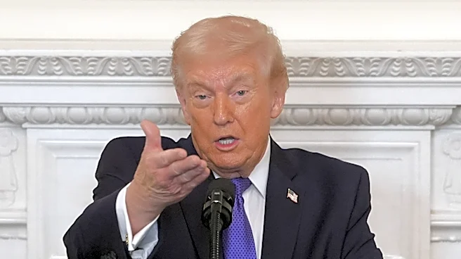 'We are not some piece of ice': Greenland hits back at Trump's Arctic insult