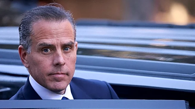 Hunter Biden challenges Trump's sons to cage match