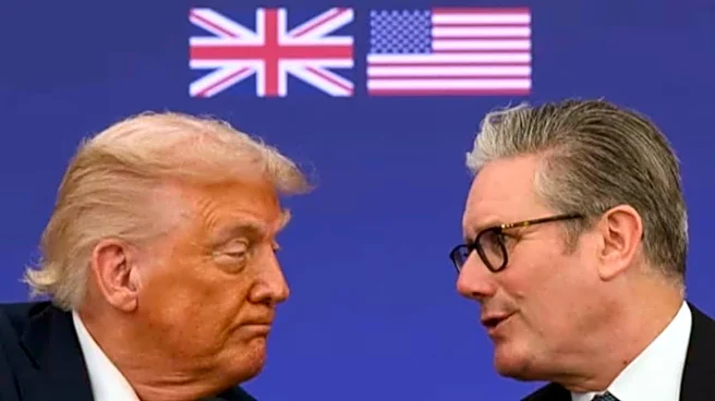 UK's Starmer and Trump discussed military options for Strait of Hormuz