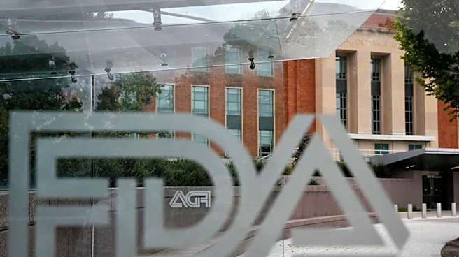 FDA clears mango and blueberry e-cigarettes for adult smokers in US