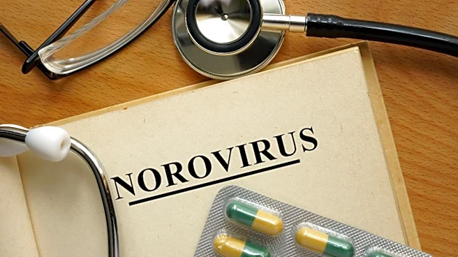 After hantavirus scare, highly contagious norovirus sickens over 100 on Caribbean Princess cruise