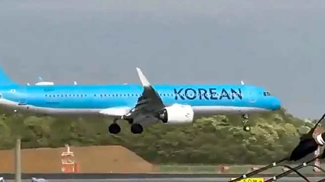 Watch: Korean Air flight wobbles during landing attempt at Narita Airport