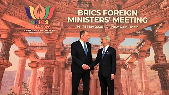 BRICS must step up as mediator in Iran-US war: Prof Hamed Mousavi
