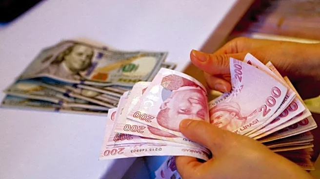 Turkish lira hits record low against US dollar, down 98% since 2010