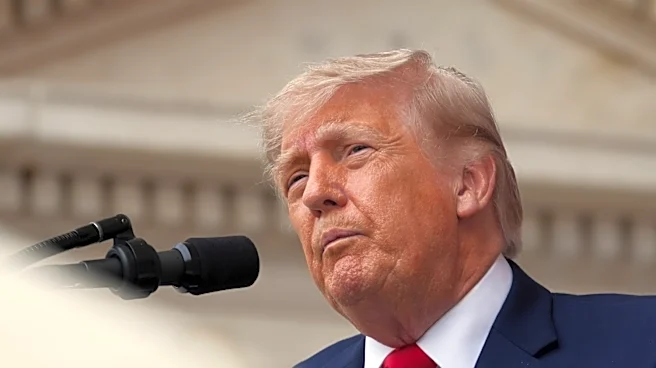 Trump-backed Board of Peace fund remains empty months after launch: Report