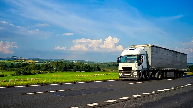 30 Indians living and working illegally in US as truck drivers arrested, will be deported