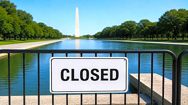 Ex-US Olympian indicted over alleged Reflecting Pool vandalism