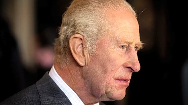 King Charles confirms Harry and Meghan remain non-working royals
