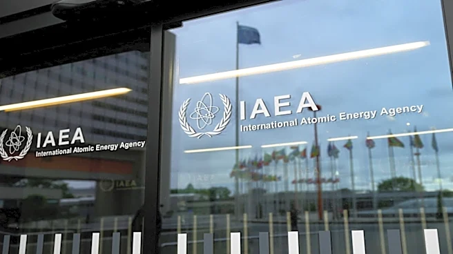 Syrian nuclear reactor could have been useful for weapons, IAEA chief says