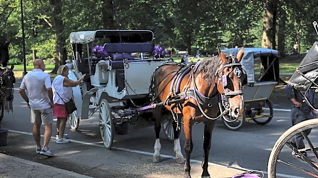 New York City moves to ban Central Park horse carriages by 2028