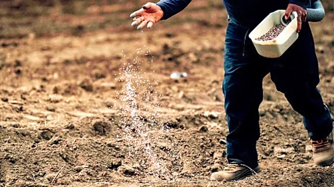 Failure to activate Hormuz fertilizer plan could trigger food crisis, UN official says