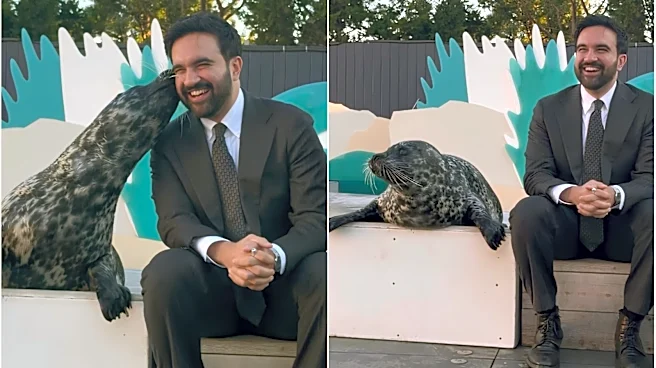 NYC Mayor Mamdani meets seals at New York Aquarium; One presses its face to his cheek