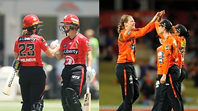 WBBL 2025: Match 25, MR W vs PS W Match Prediction – Who will win today’s WBBL match between Melbourne Renegades Women vs Perth Scorchers Women?