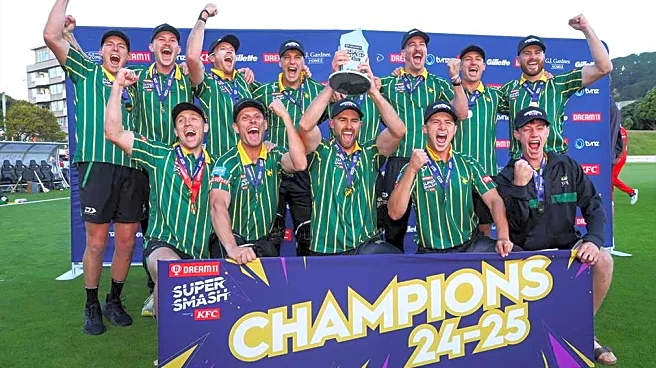 New Zealand to launch its own franchise league NZ20, players will be able to own teams