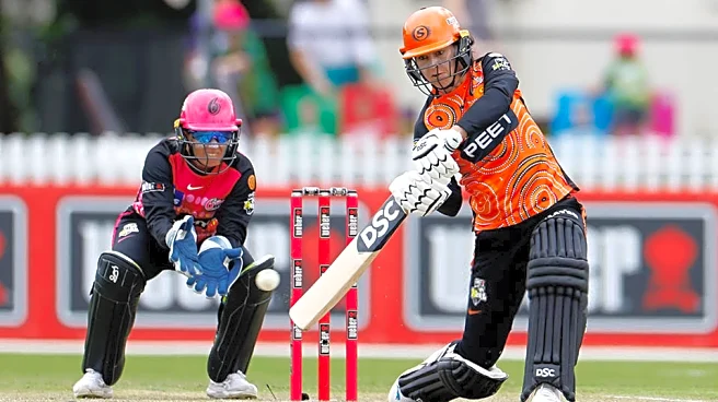 WBBL 2025: Challenger, SS W vs PS W Match Prediction – Who will win today’s WBBL match between Sydney Sixers Women vs Perth Scorchers Women?
