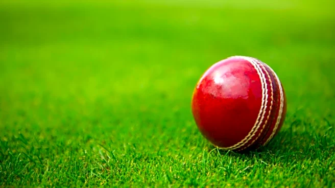 38-year-old Mizoram cricketer dies after collapsing on field during local match