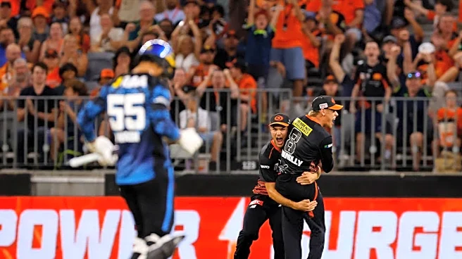 BBL 2025-26: Match 32, STR vs SCO Match Prediction – Who will win today’s BBL match between Adelaide Strikers vs Perth Scorchers?