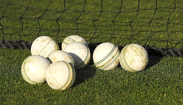 Delhi Capitals launch tournament to strengthen global grassroots talent pathway