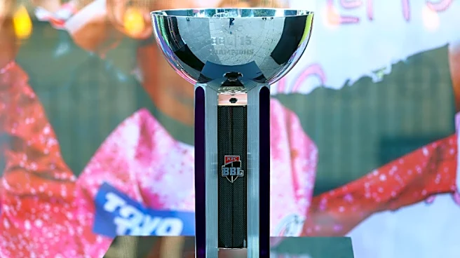 New South Wales urges Cricket Australia to halt Big Bash League privatisation push