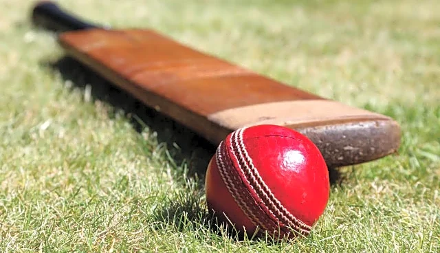 UAE cricketer Akhilesh Reddy charged under ICC Anti-Corruption Code