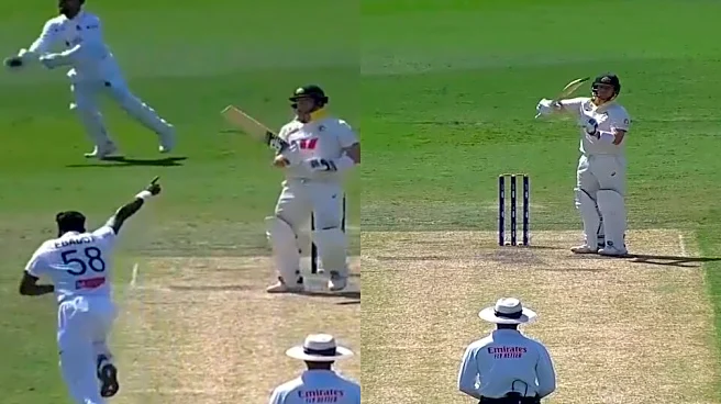 WATCH: Steven Smith signals for DRS even before being given out by umpire in Darwin Test