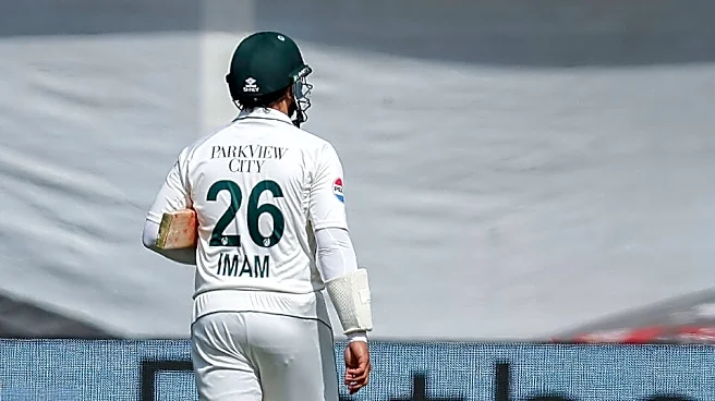 'Did he come out and bat after all this??' - Warner questions Imam-ul-Haq's absence during Lord's Test