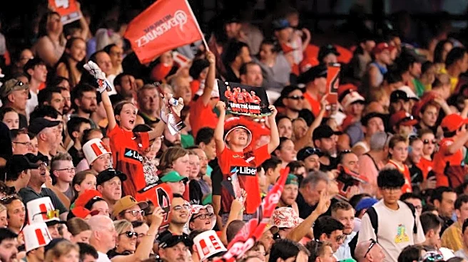 'A real honour' - Brendan Doggett excited as BBL 16 set to open in Chennai