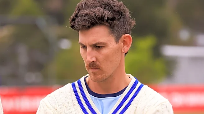 Australia set for new opener as Maddinson and Harper released ahead of Cape Town decider
